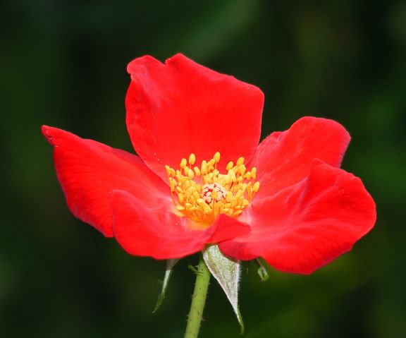 Home Run photo hr2013_08030012_zps767418a6.jpg